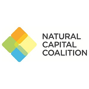 NCC NCC