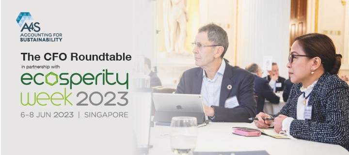Ecosperity Week A4S CFO Roundtable